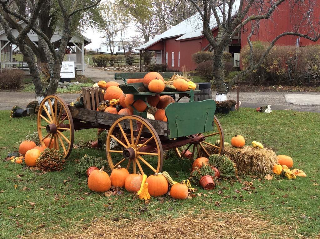Countryside Inn Nappanee Bagian luar foto